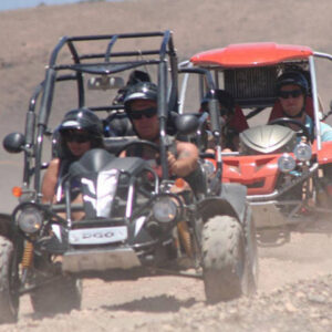BUGGY SAFARI