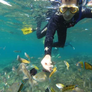 SNORKEL SAFARI
